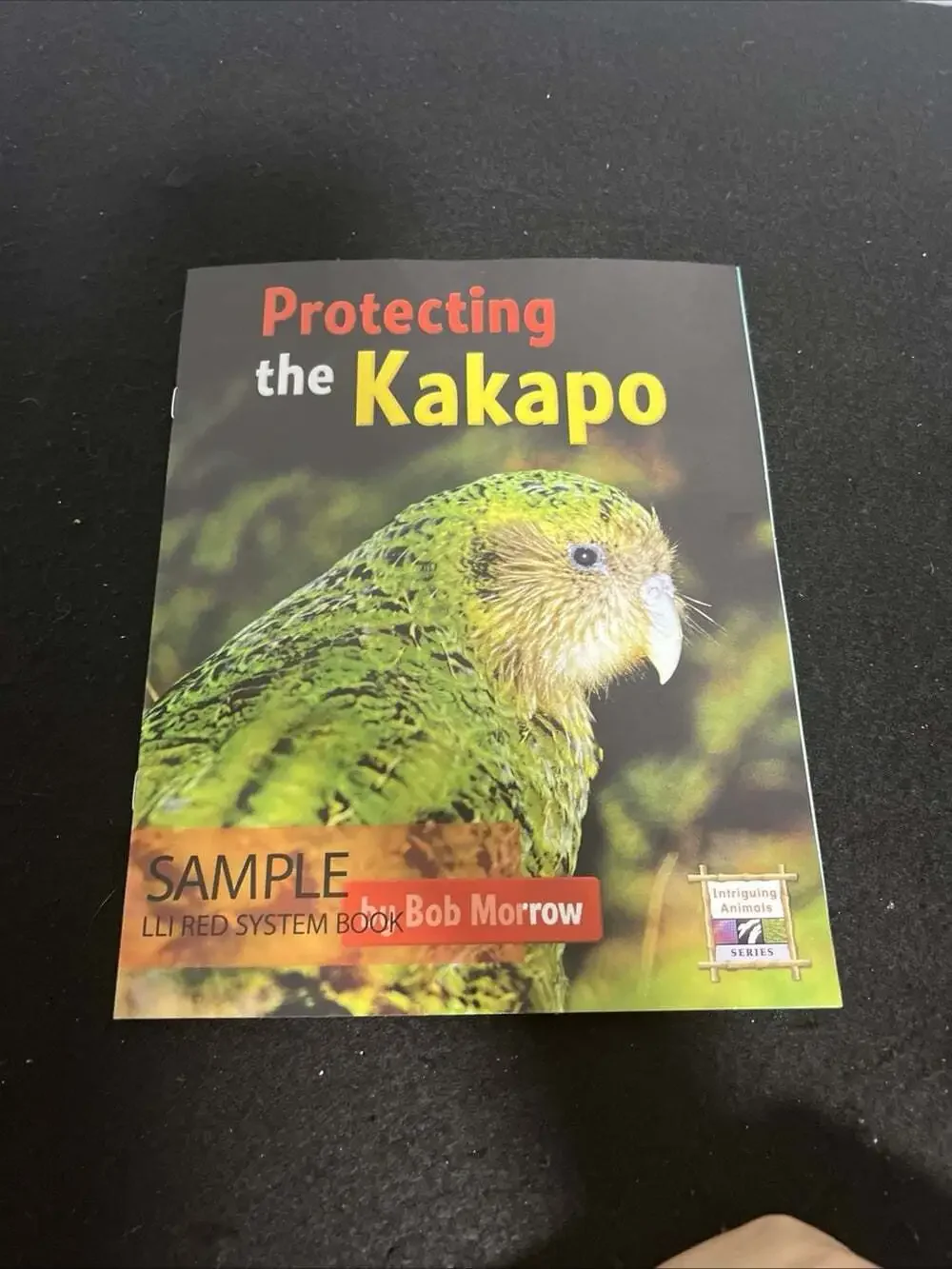 Protecting the Kakapo by Bob Morrow (paperback) 2013